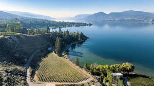 1 Mill Road Vineyard