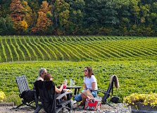 La cantina fall vineyard