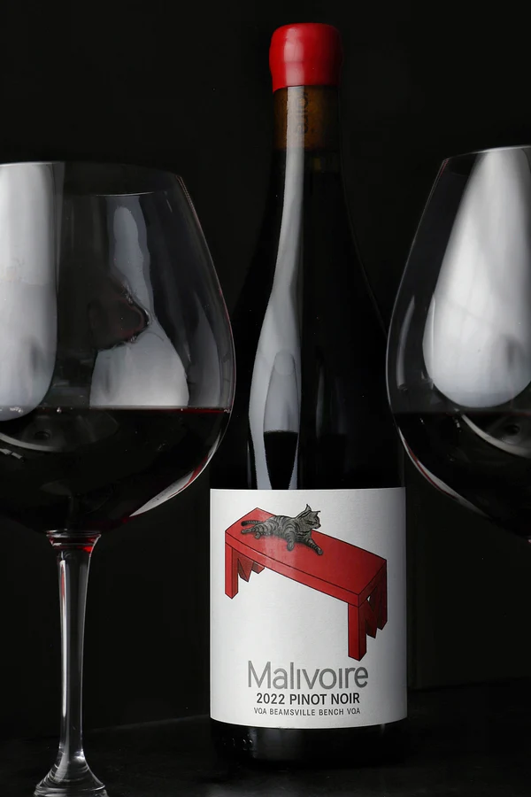 malivoire Cat on the Bench Pinot bottle