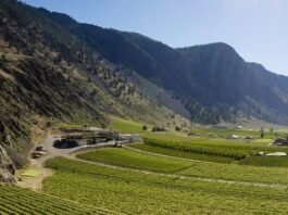 Corcelettes vineyard similkameen valley