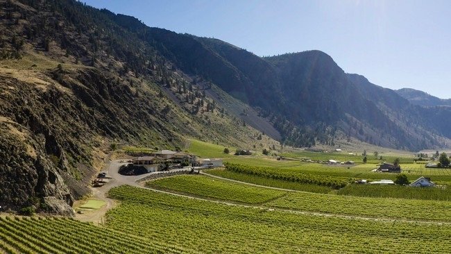 Corcelettes vineyard similkameen valley