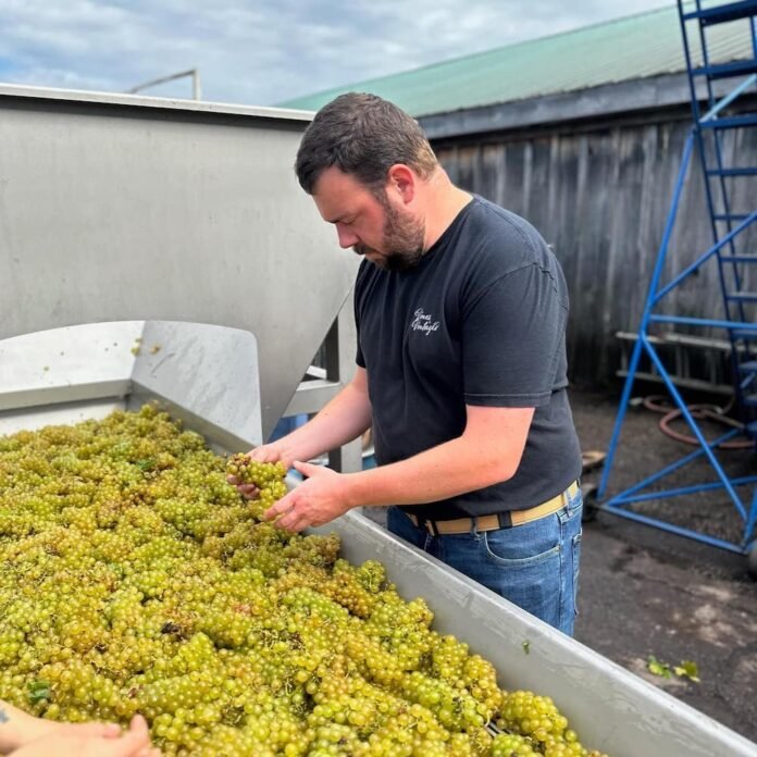 Divergence Creek Road Vineyard Jeff Moote