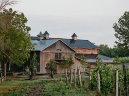 Grange Barn and Vineayrd