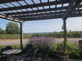 Keint he vineyard and lake