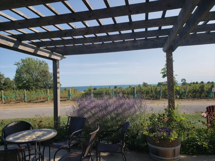 Keint he vineyard and lake