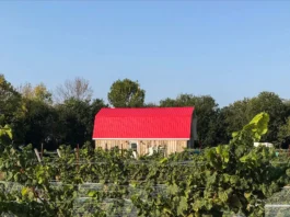 Last House Winery Prince Edward County