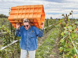 Trail Estate MacKenzie Brisbois