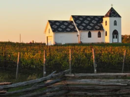 Closson Chase Churchside Vineyard