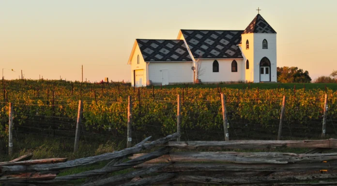 Closson Chase Churchside Vineyard