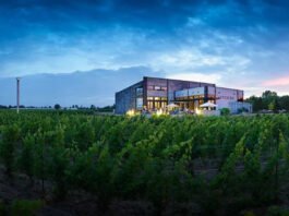 Stratus Winery 2