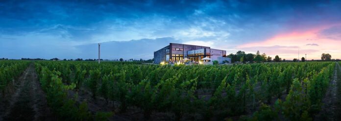 Stratus Winery 2