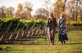 Two Sisters Eleventh Post 2020