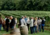 Mason Vineyard The Landed Cabernet Franc 2024 Mason Vineyard Tasting