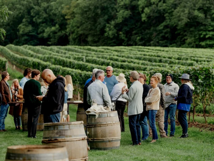 Mason Vineyard Tasting Mason Vineyard Tasting