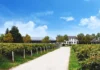 Ravine Cabernet Franc 2023 Ravine Vineyard, St. Davids Bench, Niagara Peninsula