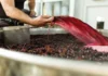 Tantalus Cabernet Franc Farther Afield Series Cabernet Franc 2023 Tantalus Red Winemaking Pump Over