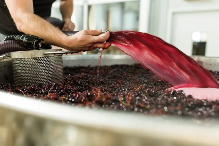 Tantalus Red Winemaking Pump Over
