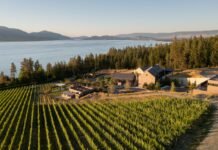 CedarCreek Platinum Pinot Noir 2025 CedarCreek Winery in South Kelowna
