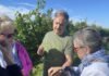 Leaning Post The Fifty Chardonnay 2025 Ilya Senchuk sampling 2026 Chardonnay for visitors the day before harvest