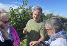 Leaning Post The Fifty Chardonnay 2025 Ilya Senchuk sampling 2026 Chardonnay for visitors the day before harvest
