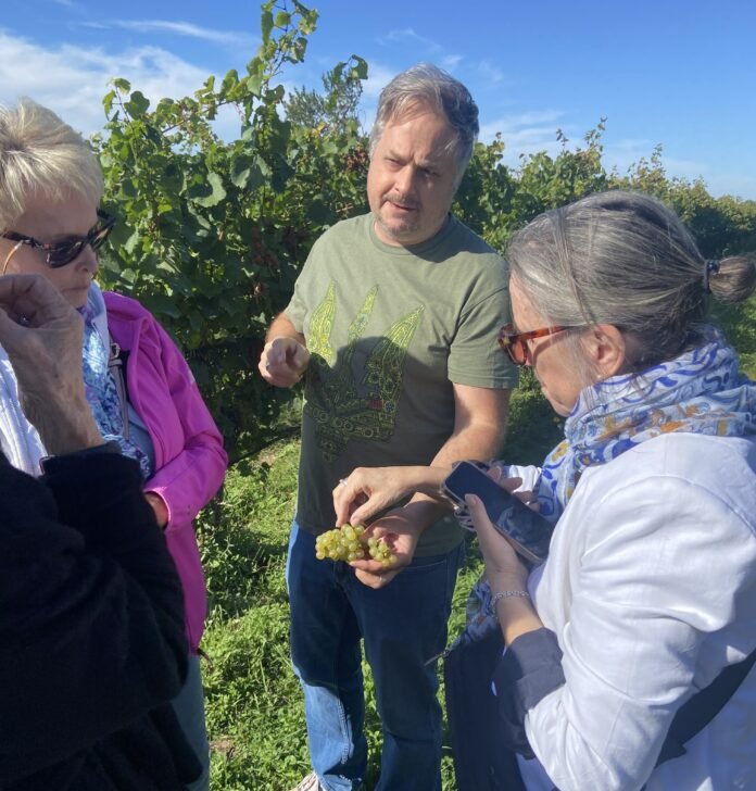 Ilya Senchuk sampling 2026 Chardonnay for visitors the day before harvest