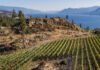 Martins Lane Naramata Ranch Pinot Noir 2023 Martins Lane Naramata Ranch Vineyard Pinot Noir 2023